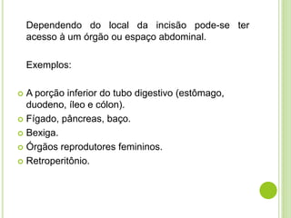 Dependendo do local da incisão pode-se ter 
acesso à um órgão ou espaço abdominal. 
Exemplos: 
 A porção inferior do tubo digestivo (estômago, 
duodeno, íleo e cólon). 
 Fígado, pâncreas, baço. 
 Bexiga. 
 Órgãos reprodutores femininos. 
 Retroperitônio. 
 