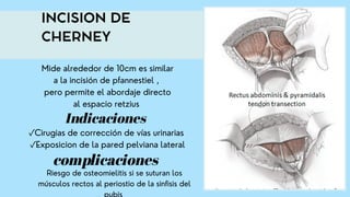 Laparotomia ginecológica aprendizaje de | PDF
