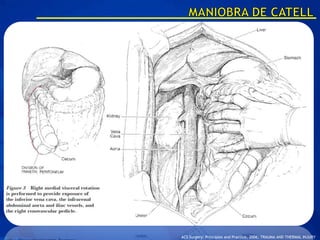 ACS Surgery: Principles and Practice, 2006, TRAUMA AND THERMAL INJURY
 