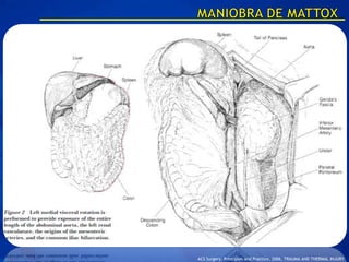 ACS Surgery: Principles and Practice, 2006, TRAUMA AND THERMAL INJURY
 