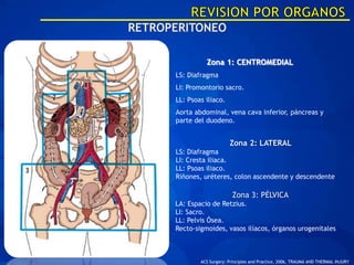 Zona 1: CENTROMEDIAL
LS: Diafragma
LI: Promontorio sacro.
LL: Psoas iliaco.
Aorta abdominal, vena cava inferior, páncreas y
parte del duodeno.


                     Zona 2: LATERAL
LS: Diafragma
LI: Cresta iliaca.
LL: Psoas iliaco.
Riñones, uréteres, colon ascendente y descendente

                      Zona 3: PÉLVICA
LA: Espacio de Retzius.
LI: Sacro.
LL: Pelvis Ósea.
Recto-sigmoides, vasos ilíacos, órganos urogenitales



        ACS Surgery: Principles and Practice, 2006, TRAUMA AND THERMAL INJURY
 