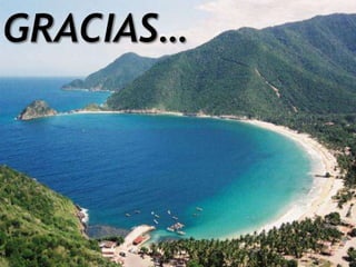 Laparotomia jonathan molina