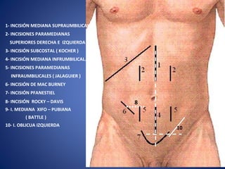 10
8
1- INCISIÓN MEDIANA SUPRAUMBILICAL
2- INCISIONES PARAMEDIANAS
SUPERIORES DERECHA E IZQUIERDA
3- INCISIÓN SUBCOSTAL ( KOCHER )
4- INCISIÓN MEDIANA INFRUMBILICAL.
5- INCISIONES PARAMEDIANAS
INFRAUMBILICALES ( JALAGUIER )
6- INCISIÓN DE MAC BURNEY
7- INCISIÓN PFANESTIEL
8- INCISIÓN ROCKY – DAVIS
9- I. MEDIANA XIFO – PUBIANA
( BATTLE )
10- I. OBLICUA IZQUIERDA
8
10
 