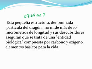 ¿qué es ? 
Esta pequeña estructura, denominada 
'partícula del dragón', no mide más de 10 
micrómetros de longitud y sus descubridores 
aseguran que se trata de una "entidad 
biológica" compuesta por carbono y oxígeno, 
elementos básicos para la vida. 
 