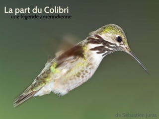 La part du Colibri
une légende amérindienne
de Sébastien Juras
 