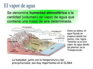 El vapor de agua Se denomina  humedad atmosférica  a la cantidad (volumen) de vapor de agua que contiene una masa de aire determinada. Como ya sabes, el agua líquida se evapora desde los mares, ríos, lagos… También va al aira vapor de agua desde las plantas: es la Transpiración. La humedad, junto con la temperatura y las precipitaciones, son muy importantes en el CLIMA 