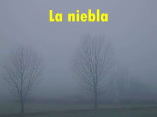 La niebla 