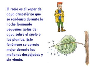El rocío es el vapor de agua atmosférico que se condensa durante la noche formando pequeñas gotas de agua sobre el suelo o las plantas. Este fenómeno se aprecia mejor durante las mañanas despejadas y sin viento. 