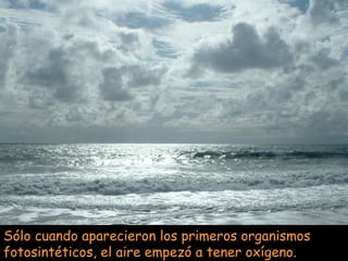 Sólo cuando aparecieron los primeros organismos fotosintéticos, el aire empezó a tener oxígeno. 
