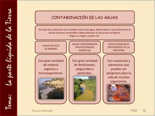  Las aguas salvajes (sin cauce definido), los torrentes y los ríos pueden arrastrar fragmentos de rocas, que más adelante quedarán depositados. Pueden formarse valles, gargantas y desfiladeros, meandros, deltas y estuarios.