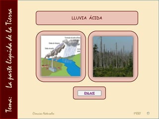   Los mares y océanos también dan forma al relieve, erosionando acantilados y depositando sedimentos (formando, entre otros, las playas).PRECIPITACIONESRespecto a la pluviometría o cantidad de precipitación:En general, podemos decir que a mayor evaporación/transpiración, mayores precipitaciones, y viceversa.