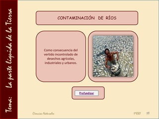 Tema:    La parte líquida de la TierraRESERVAS   DE   AGUA   DULCE   EN   LA   TIERRA12El agua dulce supone tan sólo un 3% de la cantidad total de agua existente en la Tierra. Se halla formando:RÍOS Y TORRENTESLAGOS Y LAGUNASAGUAS SUBTERRÁNEASGLACIARESConstituye alrededor del 0´3% de las aguas continentalesLos ríos son corrientes de agua con cauce definido y caudal permanente, en tanto que los torrentes tienen cauce definido pero caudal estacional (en época de lluvias).También se incluirían las aguas salvajes o de arroyada, sin cauce fijo.Forman en torno al 0´7% de las aguas continentales.Son aguas que permanecen almacenadas en depresiones  del terreno.Los lagos son extensiones mayores  y más profundos que las lagunas.Suponen el 20% de las reservas de agua dulce terrestre.Una parte se encuentra impregnando y empapando el suelo y otra se encuentra en forma de depósitos llamados ACUÍFEROSContienen el 79% del agua dulce del planeta.En este caso, el agua se presenta en estado sólido (hielo).Se distinguen dos tipos de glaciares:Glaciares de valle o alpinos, en valles de alta montaña, donde la nieve caída se transforma en hielo, que desciende por la ladera formando auténticos ríos de hielo.Glaciares de casquete polar, que cubren enormes extensiones y se rompen al llegar al mar para originar ICEBERGSCiencias Naturales                                                                                          1ºESO