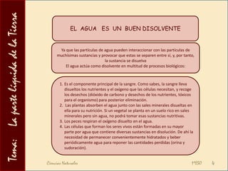 Regula la temperatura del medio.