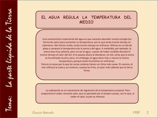 Alcanza su densidad máxima a  4oCCiencias Naturales                                                                                          1ºESO3