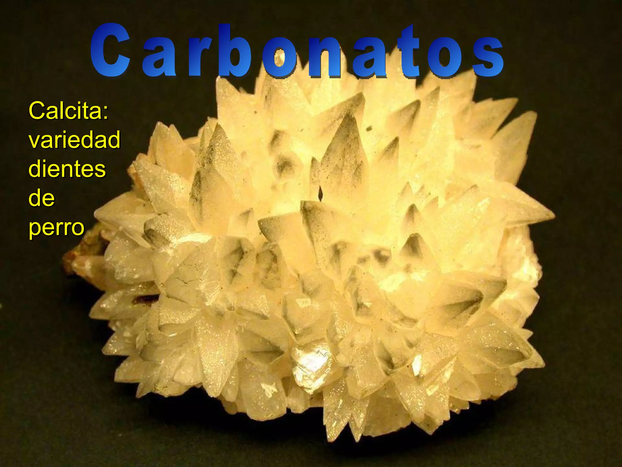 Calcita: variedad dientes de perro Carbonatos 