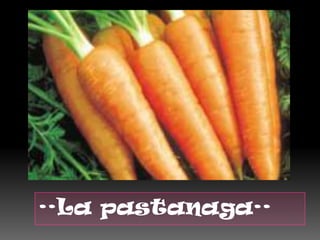 ··La pastanaga·· 