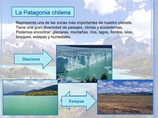 Representa una de las zonas más importantes de nuestro planeta.
Tiene una gran diversidad de paisajes, climas y ecosistemas.
Podemos encontrar: glaciares, montañas, ríos, lagos, fiordos, islas,
bosques, estepas y humedales.
Glaciares
Fiordos
Estepas