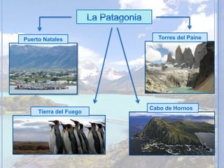 Puerto Natales
Tierra del Fuego
Torres del Paine
Cabo de Hornos