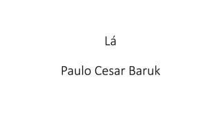 Lá
Paulo Cesar Baruk
 