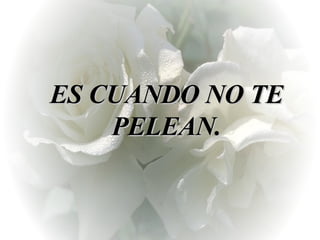 ES CUANDO NO TE PELEAN. 