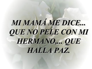 MI MAMÁ ME DICE... QUE NO PELE CON MI HERMANO,... QUE HALLA PAZ. 