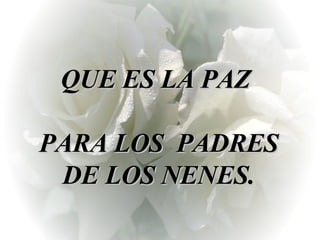 QUE ES LA PAZ  PARA LOS  PADRES DE LOS NENES. 