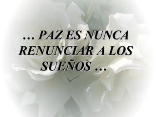   …  PAZ ES NUNCA RENUNCIAR A LOS SUEÑOS …    