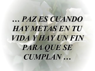     …  PAZ ES CUANDO HAY METAS EN TU VIDA Y HAY UN FIN PARA QUE SE CUMPLAN …   