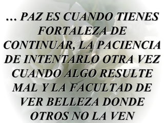 …  PAZ ES CUANDO TIENES FORTALEZA DE CONTINUAR, LA PACIENCIA DE INTENTARLO OTRA VEZ CUANDO ALGO RESULTE MAL Y LA FACULTAD DE VER BELLEZA DONDE OTROS NO LA VEN 