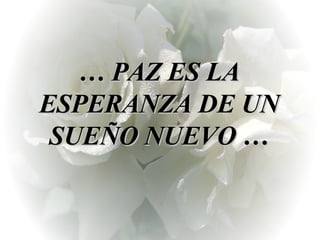   …  PAZ ES LA ESPERANZA DE UN SUEÑO NUEVO …   