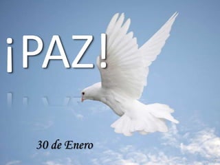 ¡PAZ! 30 de Enero 