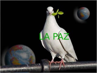 LA PAZ