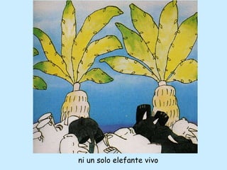 ni un solo elefante vivo 