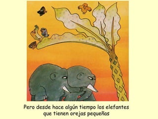 Pero desde hace algún tiempo los elefantes que tienen orejas pequeñas 