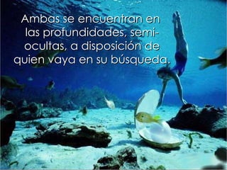 Ambas se encuentran en  las profundidades, semi- ocultas, a disposición de quien vaya en su búsqueda. 