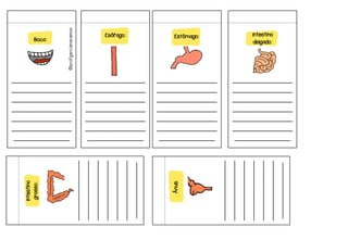 _
_______________
_______________
_______________
_______________
_______________
_______________
______________
Boca:
_______________
_______________
_______________
_______________
_______________
_______________
______________
Esôfago:
_______________
_______________
_______________
_______________
_______________
_______________
______________
Estômago:
_______________
_______________
_______________
_______________
_______________
_______________
______________
Intestino
delgado:
_______________
_______________
_______________
_______________
_______________
_______________
______________
_______________
_______________
_______________
_______________
_______________
_______________
______________
Intestino
grosso:
Ânus.
 