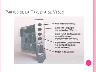 PARTES DE LA TARJETA DE VIDEO
 