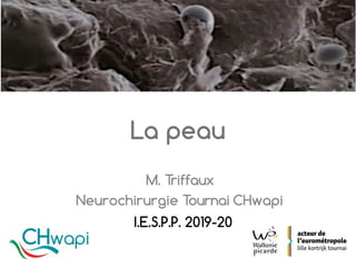 M. Triffaux
Neurochirurgie Tournai CHwapi
I.E.S.P.P. 2019-20
 