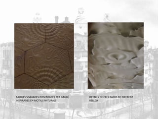 RAJOLES SISAVADES DISSENYADES PER GAUDÍ, 
INSPIRADES EN MOTIUS NATURALS 
DETALLS DE CELS RASOS DE DIFERENT 
RELLEU 
 