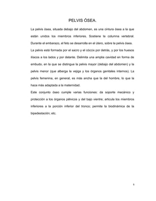 PELVIS ÓSEA.
La pelvis ósea, situada debajo del abdomen, es una cintura ósea a la que
están unidos los miembros inferiores. Sostiene la columna vertebral.
Durante el embarazo, el feto se desarrolla en el útero, sobre la pelvis ósea.
La pelvis está formada por el sacro y el cóccix por detrás, y por los huesos
ilíacos a los lados y por delante. Delimita una amplia cavidad en forma de
embudo, en la que se distingue la pelvis mayor (debajo del abdomen) y la
pelvis menor (que alberga la vejiga y los órganos genitales internos). La
pelvis femenina, en general, es más ancha que la del hombre, lo que la
hace más adaptada a la maternidad.
Este conjunto óseo cumple varias funciones: da soporte mecánico y
protección a los órganos pélvicos y del bajo vientre; articula los miembros
inferiores a la porción inferior del tronco; permite la biodinámica de la
bipedestación; etc.
6
 