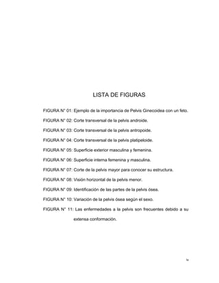 LISTA DE FIGURAS
FIGURA N° 01: Ejemplo de la importancia de Pelvis Ginecoidea con un feto.
FIGURA N° 02: Corte transversal de la pelvis androide.
FIGURA N° 03: Corte transversal de la pelvis antropoide.
FIGURA N° 04: Corte transversal de la pelvis platipeloide.
FIGURA N° 05: Superficie exterior masculina y femenina.
FIGURA N° 06: Superficie interna femenina y masculina.
FIGURA N° 07: Corte de la pelvis mayor para conocer su estructura.
FIGURA N° 08: Visión horizontal de la pelvis menor.
FIGURA N° 09: Identificación de las partes de la pelvis ósea.
FIGURA N° 10: Variación de la pelvis ósea según el sexo.
FIGURA N° 11: Las enfermedades a la pelvis son frecuentes debido a su
extensa conformación.
iv
 