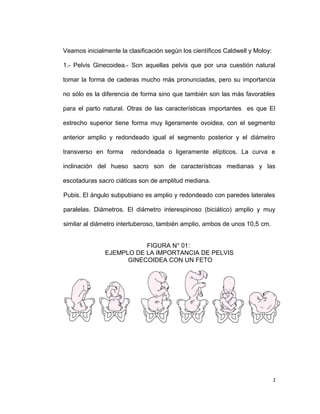 Veamos inicialmente la clasificación según los científicos Caldwell y Moloy:
1.- Pelvis Ginecoidea.- Son aquellas pelvis que por una cuestión natural
tomar la forma de caderas mucho más pronunciadas, pero su importancia
no sólo es la diferencia de forma sino que también son las más favorables
para el parto natural. Otras de las características importantes es que El
estrecho superior tiene forma muy ligeramente ovoidea, con el segmento
anterior amplio y redondeado igual el segmento posterior y el diámetro
transverso en forma redondeada o ligeramente elípticos. La curva e
inclinación del hueso sacro son de características medianas y las
escotaduras sacro ciáticas son de amplitud mediana.
Pubis. El ángulo subpubiano es amplio y redondeado con paredes laterales
paralelas. Diámetros. El diámetro interespinoso (biciático) amplio y muy
similar al diámetro intertuberoso, también amplio, ambos de unos 10,5 cm.
FIGURA N° 01:
EJEMPLO DE LA IMPORTANCIA DE PELVIS
GINECOIDEA CON UN FETO
2
 