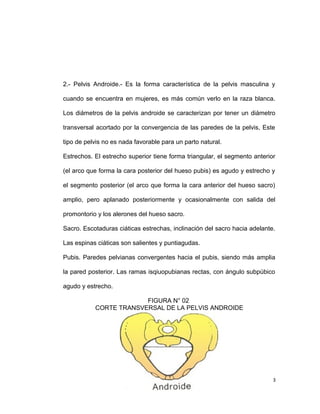 2.- Pelvis Androide.- Es la forma característica de la pelvis masculina y
cuando se encuentra en mujeres, es más común verlo en la raza blanca.
Los diámetros de la pelvis androide se caracterizan por tener un diámetro
transversal acortado por la convergencia de las paredes de la pelvis, Este
tipo de pelvis no es nada favorable para un parto natural.
Estrechos. El estrecho superior tiene forma triangular, el segmento anterior
(el arco que forma la cara posterior del hueso pubis) es agudo y estrecho y
el segmento posterior (el arco que forma la cara anterior del hueso sacro)
amplio, pero aplanado posteriormente y ocasionalmente con salida del
promontorio y los alerones del hueso sacro.
Sacro. Escotaduras ciáticas estrechas, inclinación del sacro hacia adelante.
Las espinas ciáticas son salientes y puntiagudas.
Pubis. Paredes pelvianas convergentes hacia el pubis, siendo más amplia
la pared posterior. Las ramas isqiuopubianas rectas, con ángulo subpúbico
agudo y estrecho.
FIGURA N° 02
CORTE TRANSVERSAL DE LA PELVIS ANDROIDE
3
 