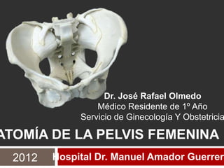 2012
ATOMÍA DE LA PELVIS FEMENINA
Hospital Dr. Manuel Amador Guerrero
Dr. José Rafael Olmedo
Médico Residente de 1º Año
Servicio de Ginecología Y Obstetricia
 