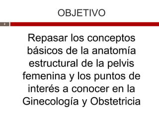 OBJETIVO
2




     Repasar los conceptos
     básicos de la anatomía
      estructural de la pelvis
    femenina y los puntos de
     interés a conocer en la
    Ginecología y Obstetricia
 
