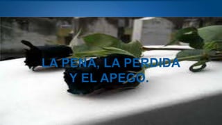 Page  27
LA PENA, LA PERDIDA
Y EL APEGO.
 