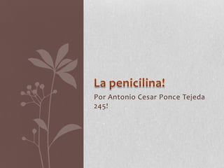 Por Antonio Cesar Ponce Tejeda
245!
 