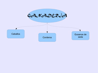 GANADERÍA



Caballos                 Gusanos de
              Corderos      seda
 