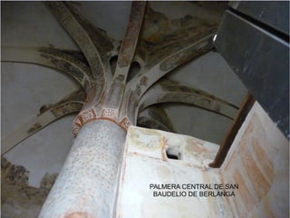 PALMERA CENTRAL DE SAN
 BAUDELIO DE BERLANGA
 