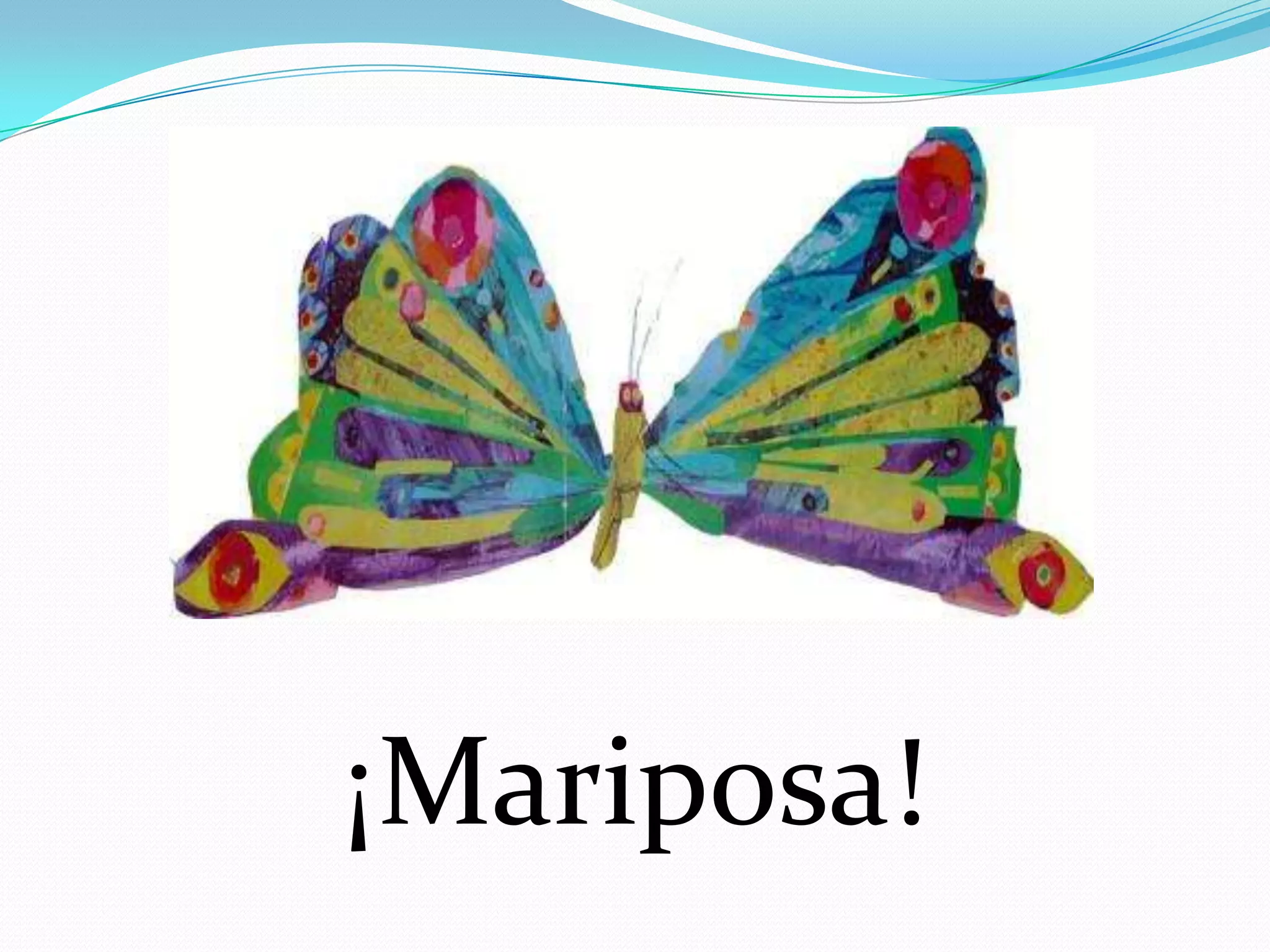 ¡Mariposa!